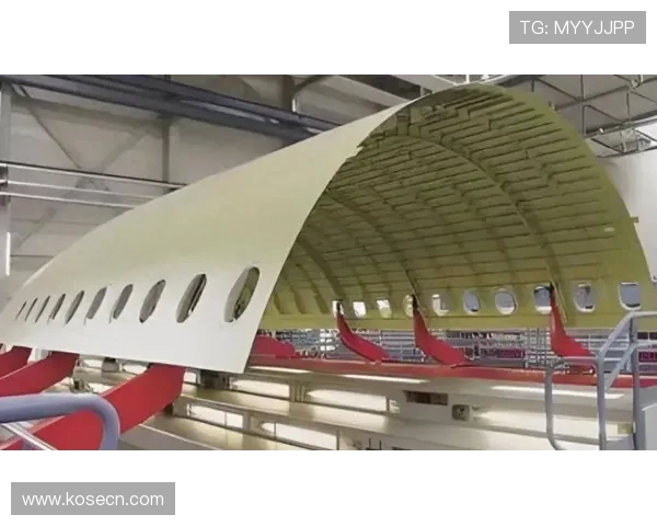 飞机机翼下蒙皮拉伸疲劳损伤